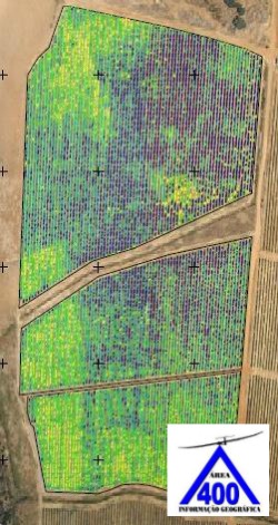 mapa de ndvi