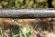 Sistema de rega gota a gota
