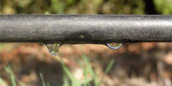 Sistema de rega gota a gota