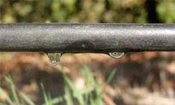 Sistema de rega gota a gota