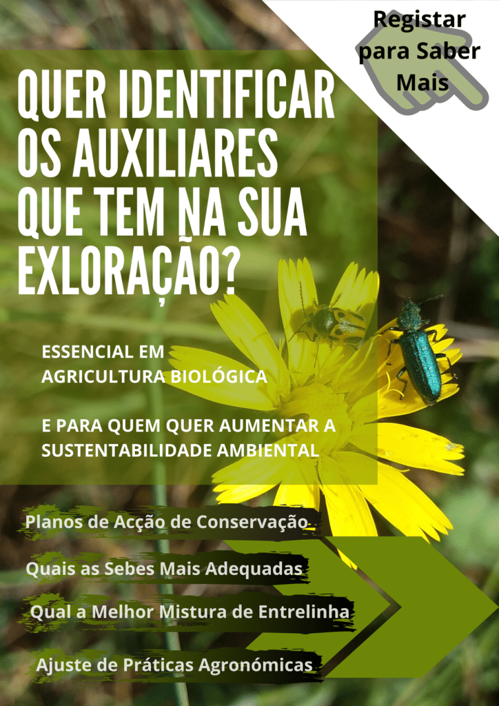 A gestão da biodiversidade funcional é essencial para por em prática mais sustentaveis ao seu negocio agricola