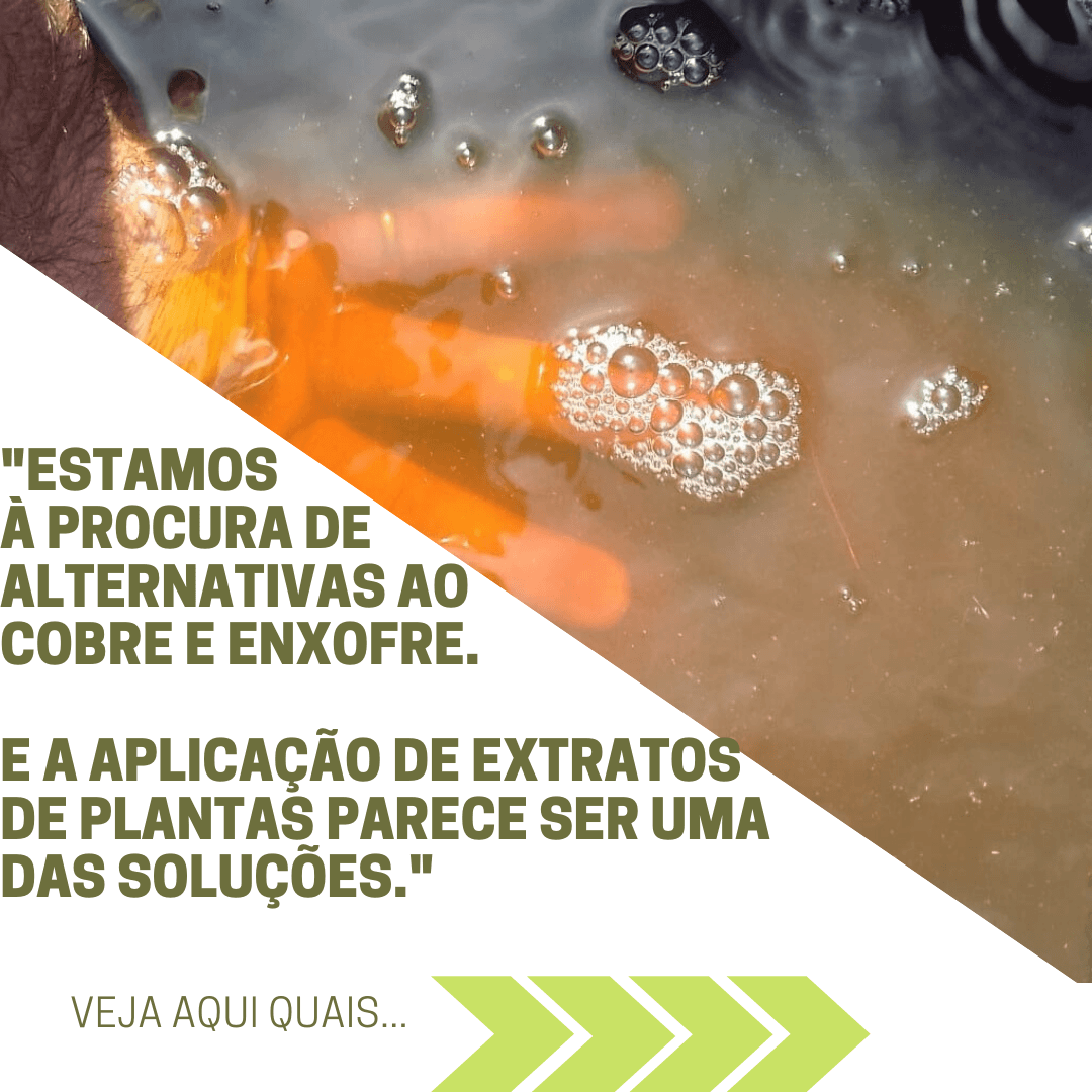 Utilização de Extratos de plantas na agricultura