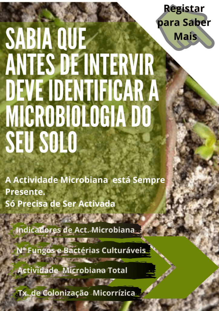 A microbiologia do solo deve ser potenciada para melhorar a saude do solo e por consequência a saude das plantas tambem