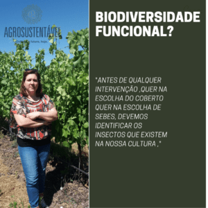 A escolha das infra-estruturas ecológicas e o seu impacto na biodiversidade funcional