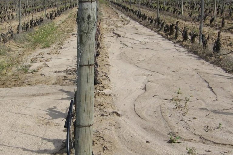 controlar erosao do solo