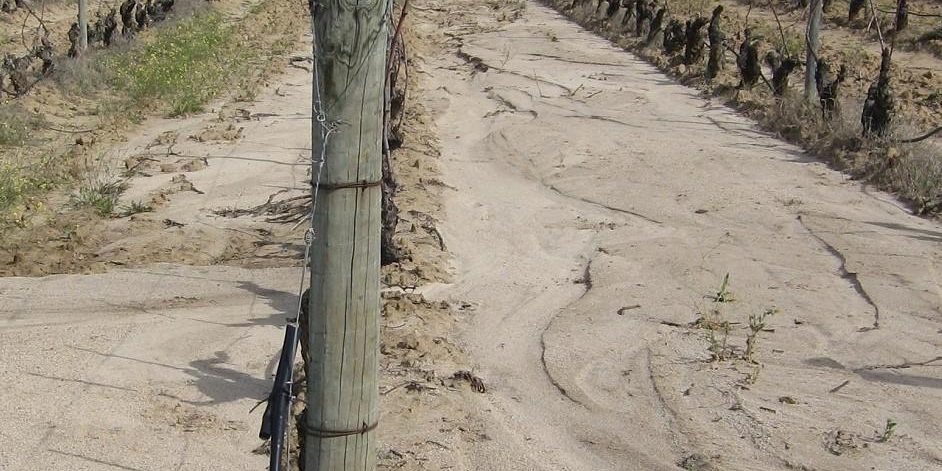 controlar erosao do solo